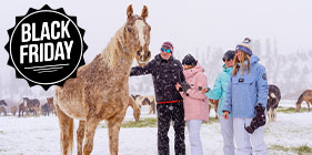 C Lazy U Black Friday Special