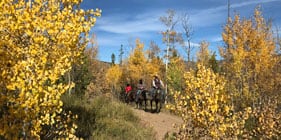 Adult riders out on the trails in fall