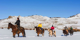 A group riding horses in the snow
