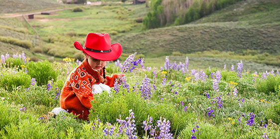 A little girl picking flowers