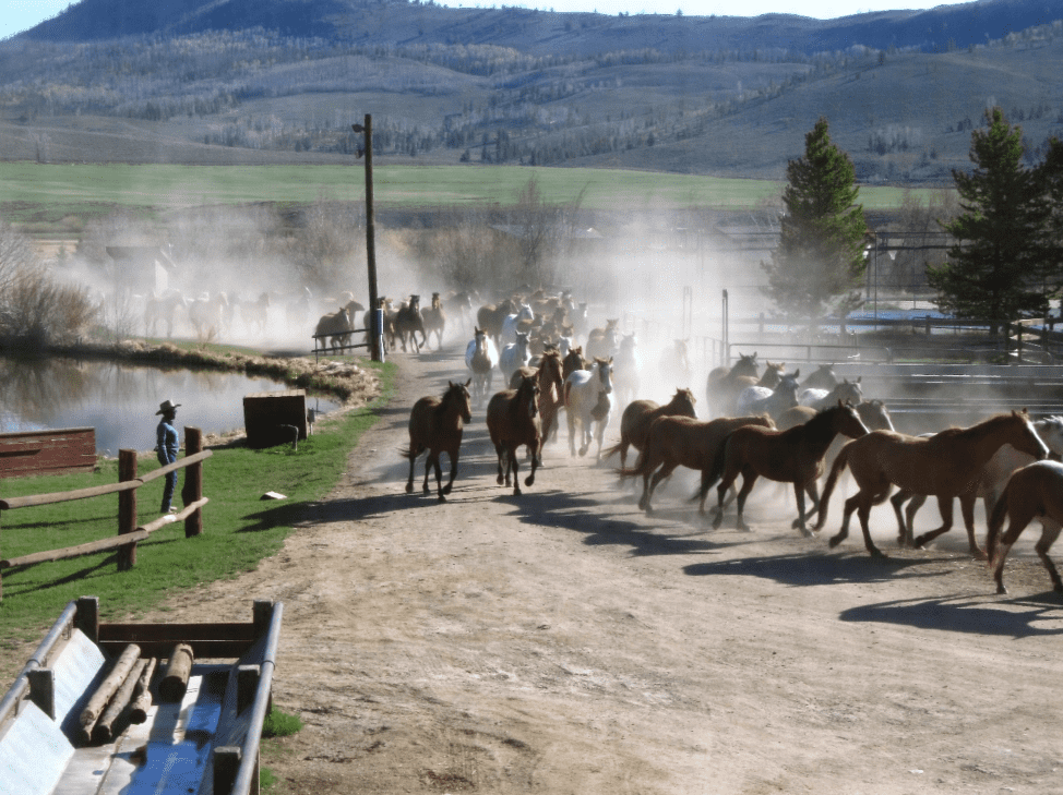 find your inner cowgirl 2018