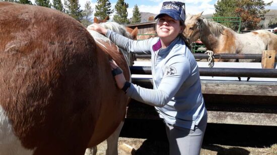 Woman connects with horse through grooming at all-inclusive dude ranch in Granby, Colorado