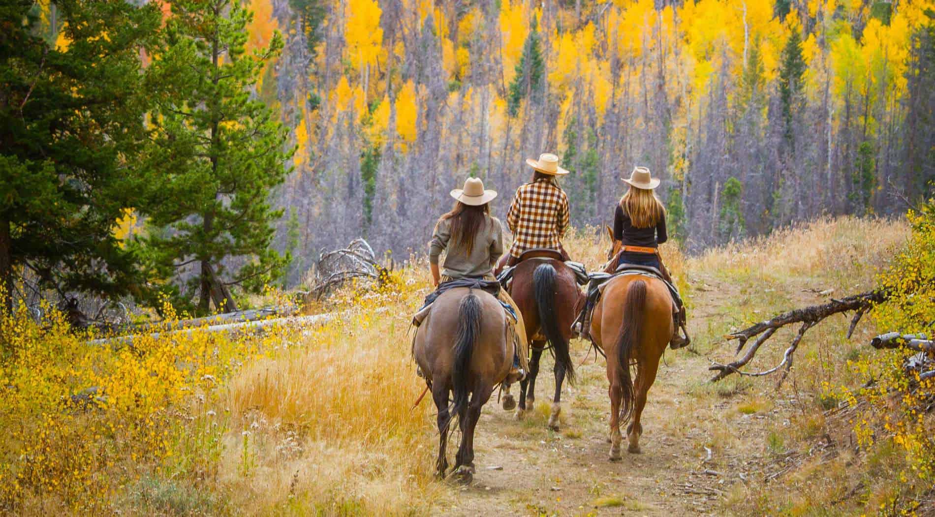 horseback riding