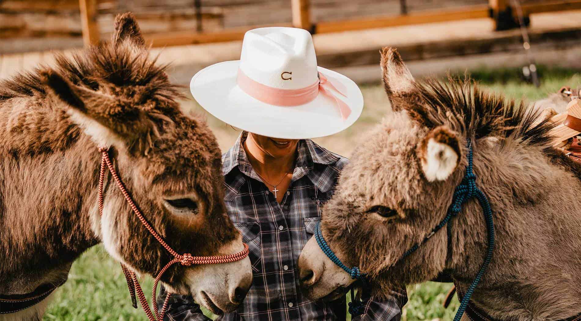 Donkeys at C Lazy U Ranch and all-inclusive resort in Granby, Colorado