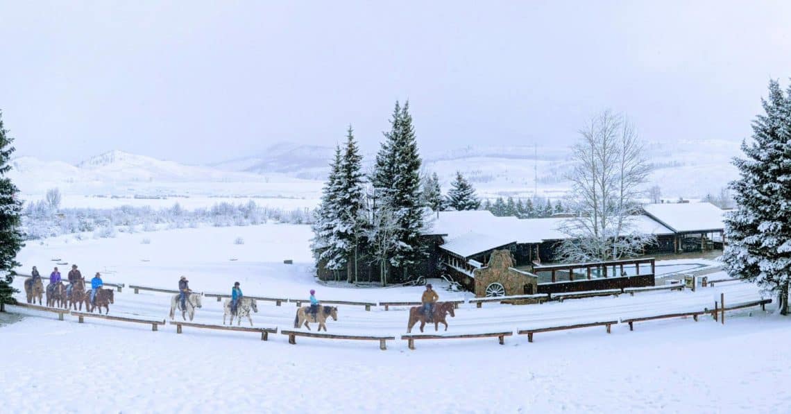 snow horses