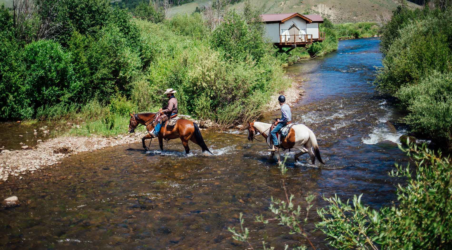 horse crossing river