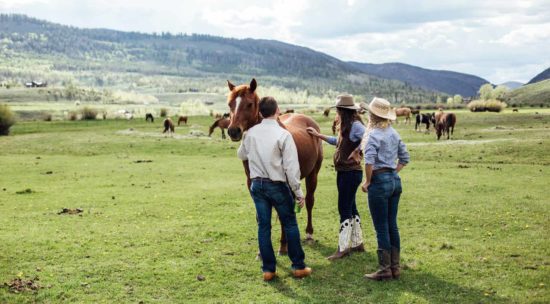 horse happy hour