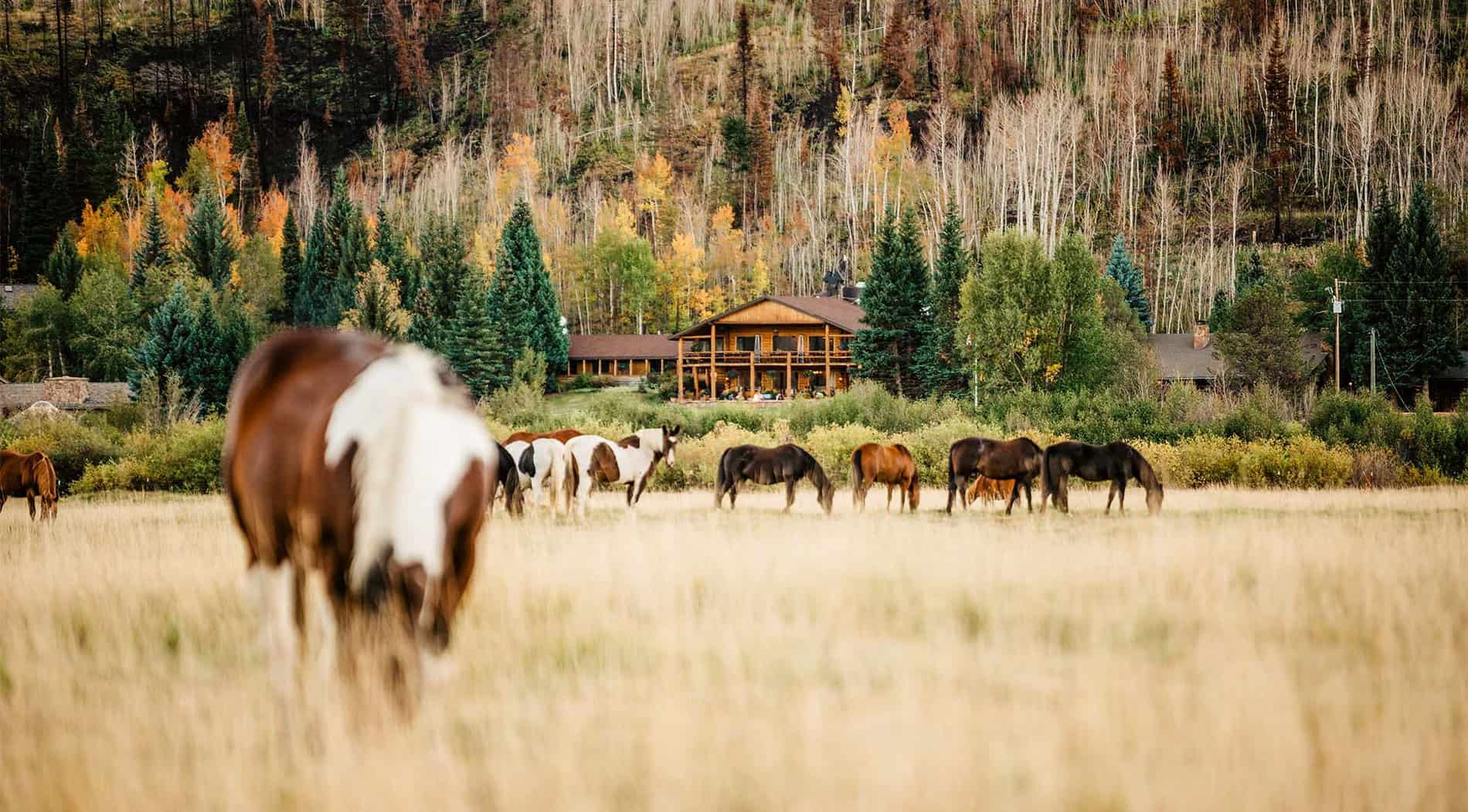 Late september at the C Lazy U Ranch