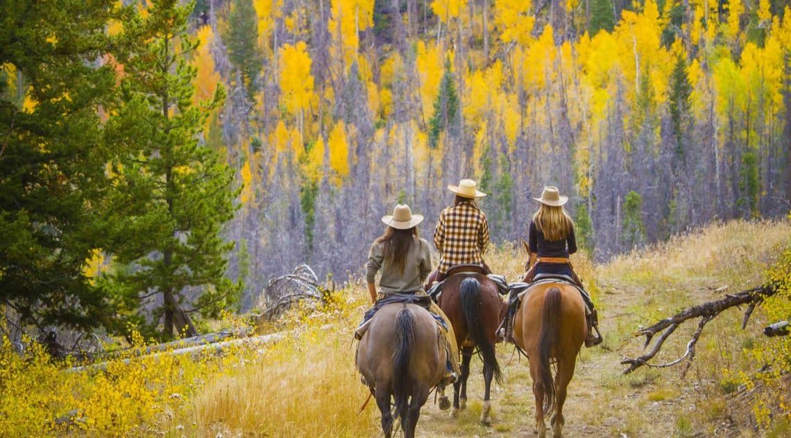 Riding horses in the fall