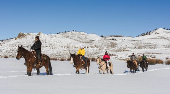 Sunny winter trail ride