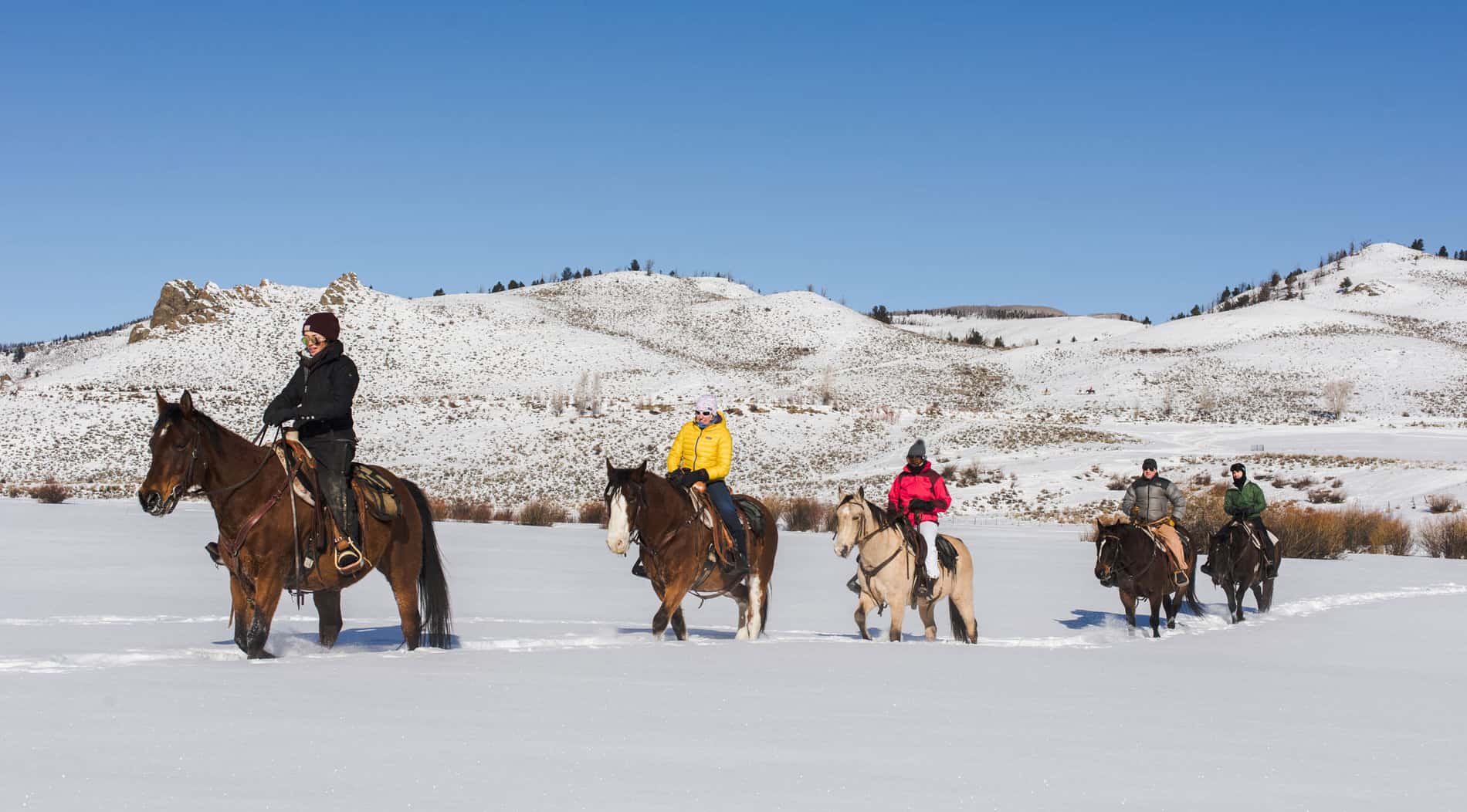 Sunny winter trail ride