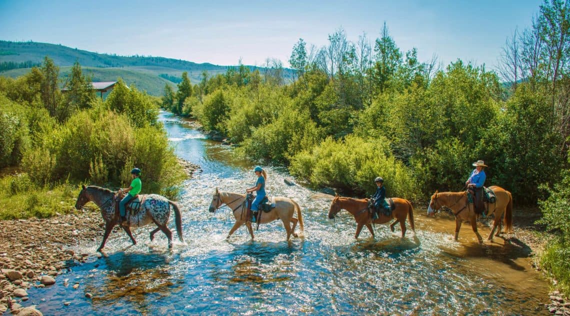 horse ride in the summer