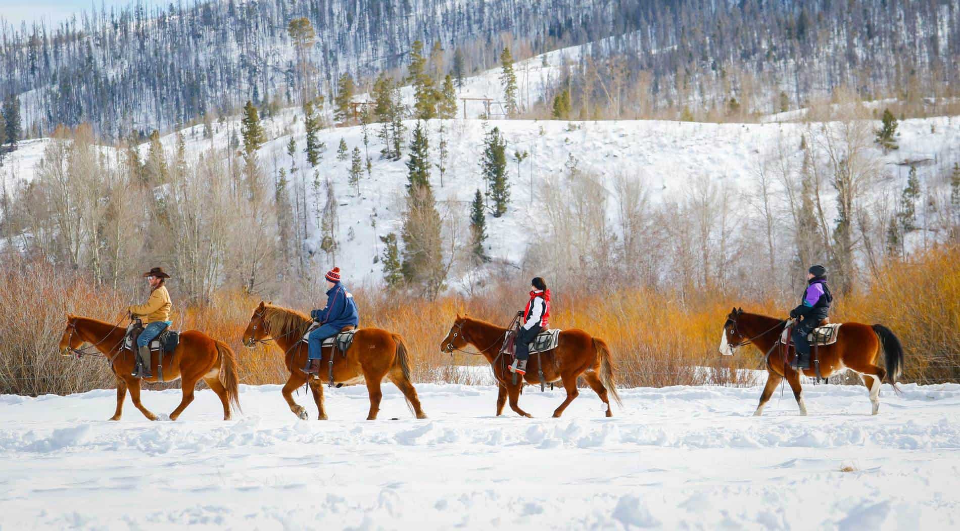 group of 4 on horses