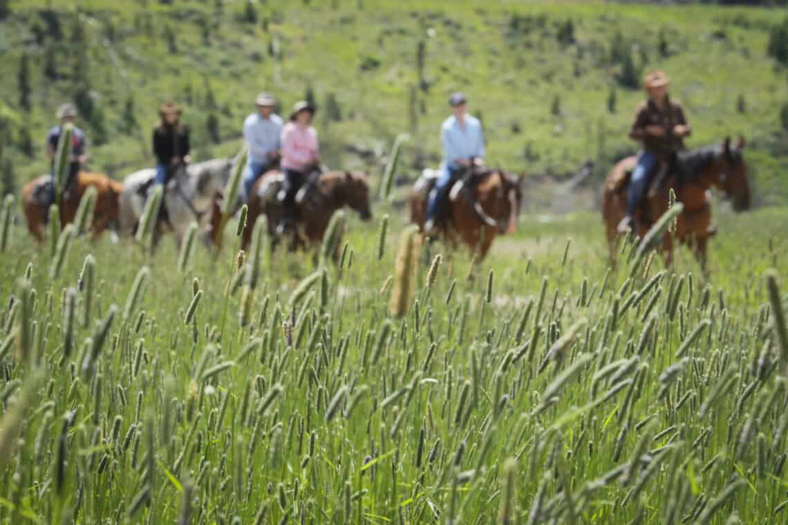 group riding in background