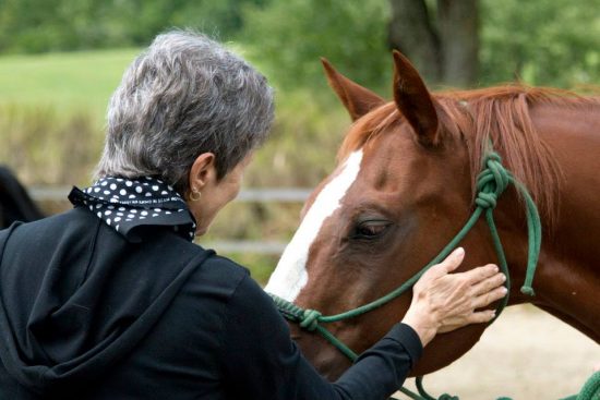 woman petting horses face