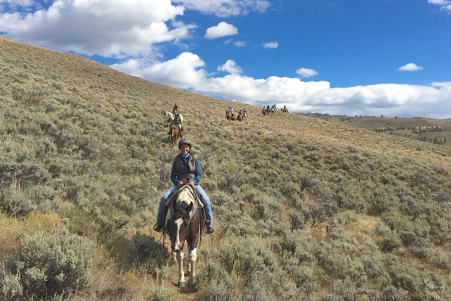 horses at womens retreat