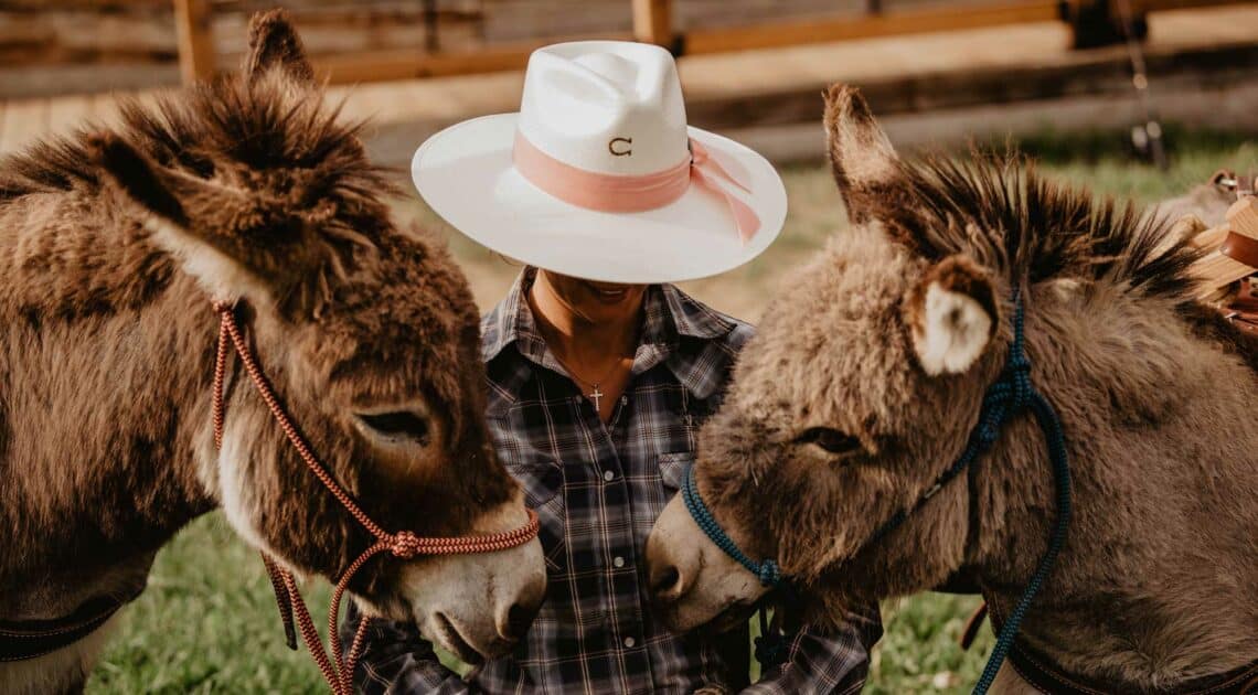 Cowgirl and donkeys