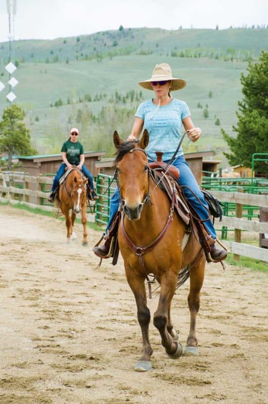 riding-lesson-in-arena