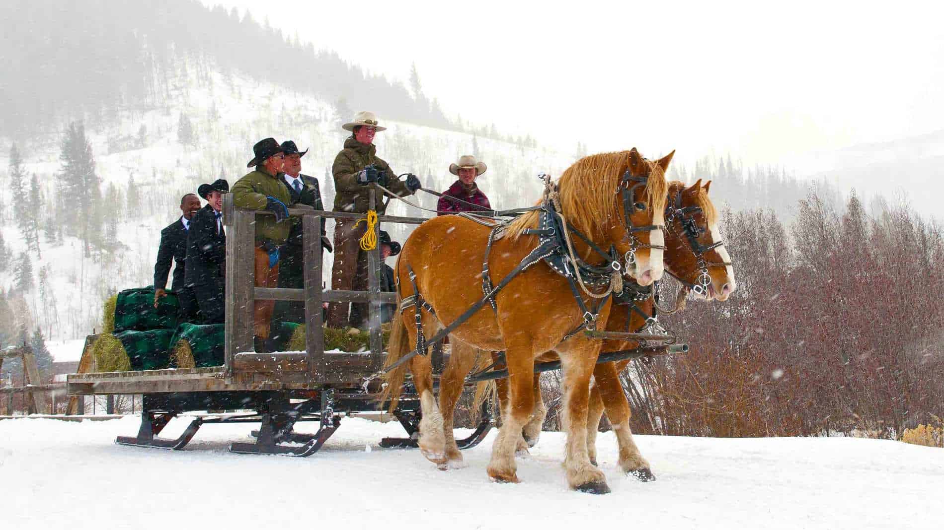 sleigh riding behind horses in snow