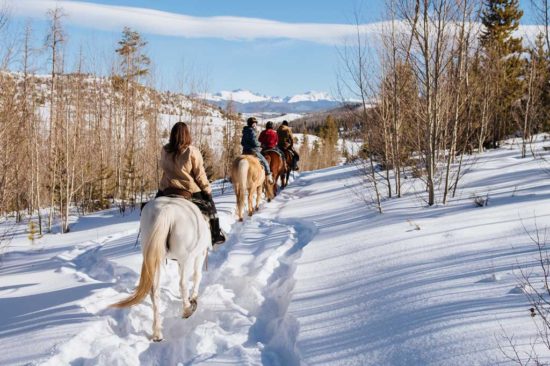 Horsebacking riding in snow