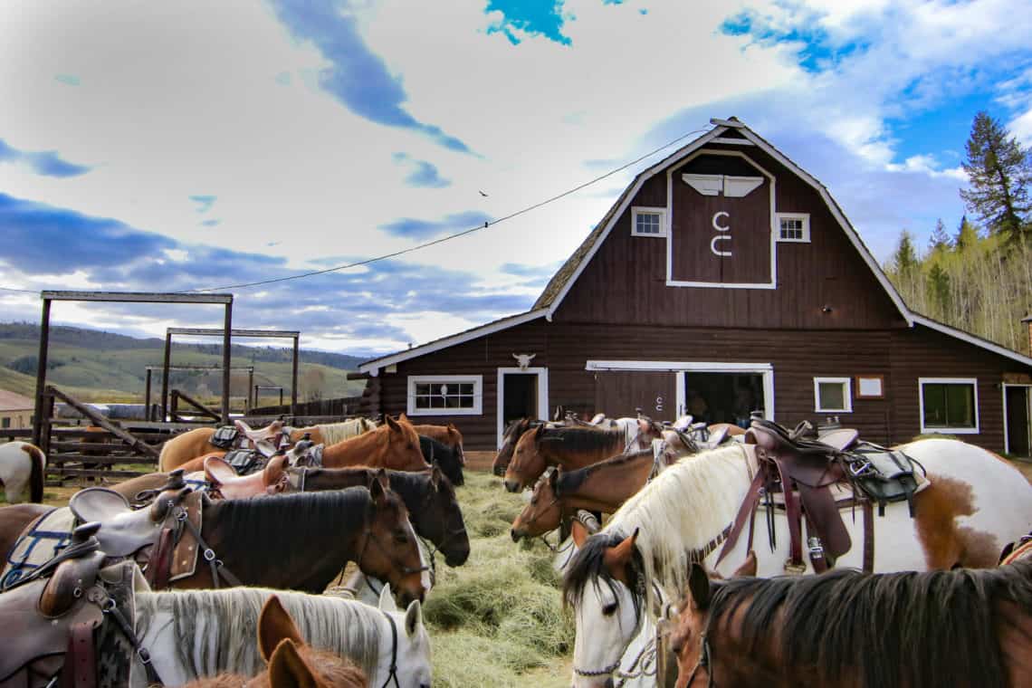 Group of horses feeding by barn