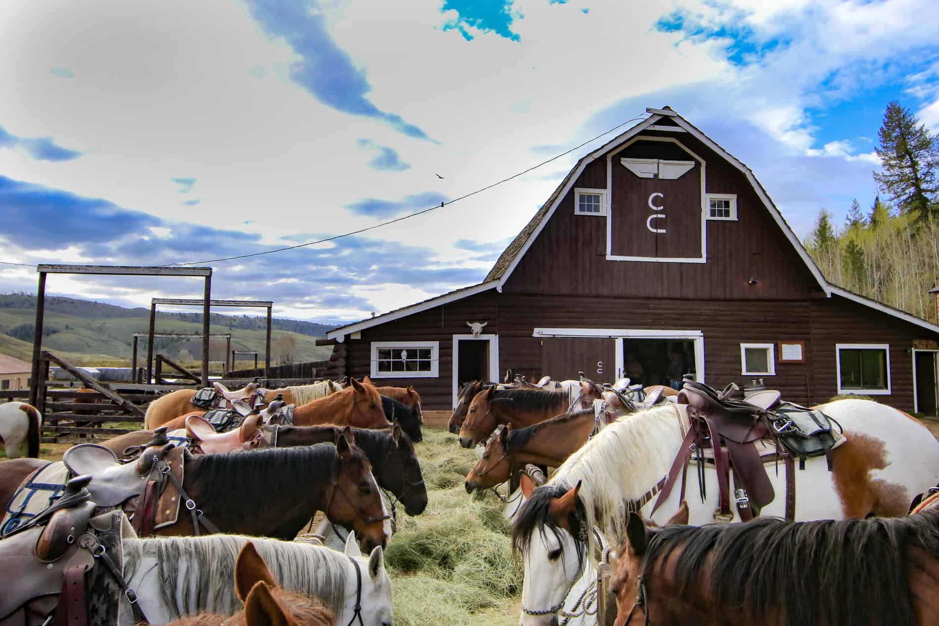 Dude ranch barn with horses