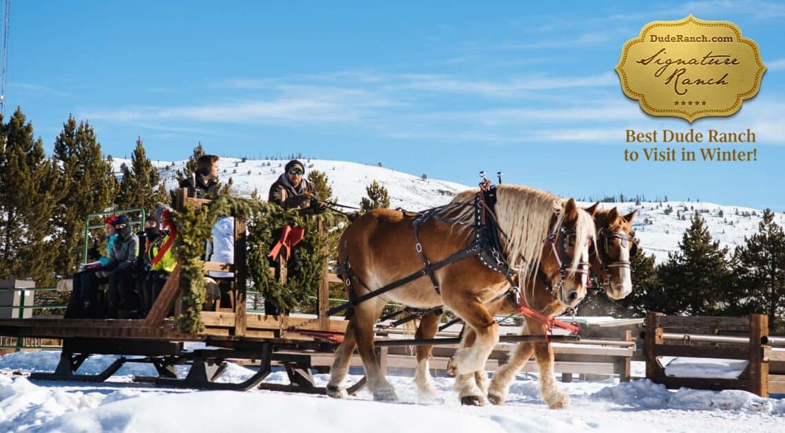 Draft horses pulling a sleigh at the best dude ranch to visit in Winter