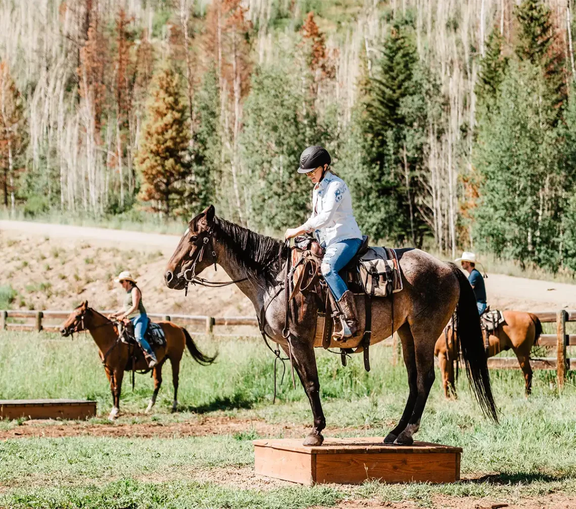 female rider balances her horse on a box as part of a trail obstacle course