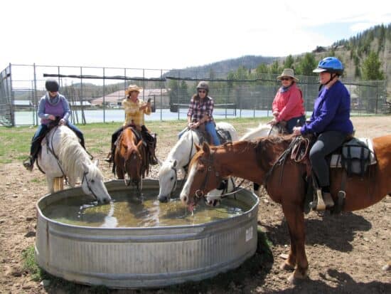 Watering the horses before a trail ride