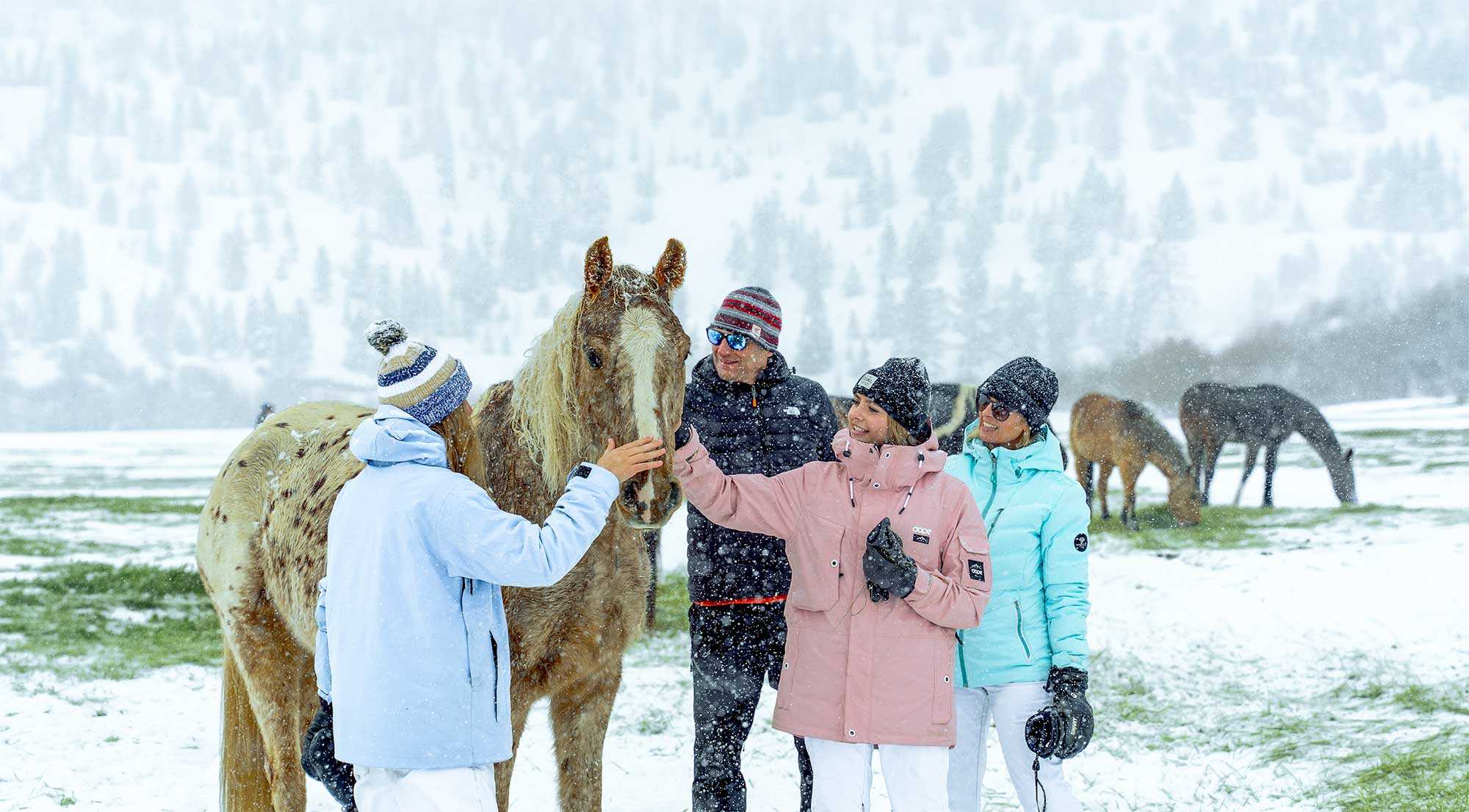 Adults petting horse in winter