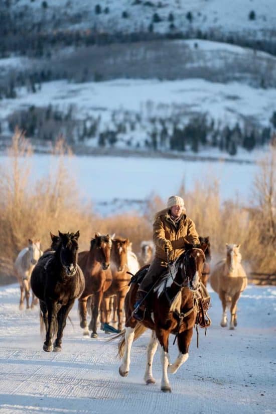 winter-jingle-led-by-wrangler