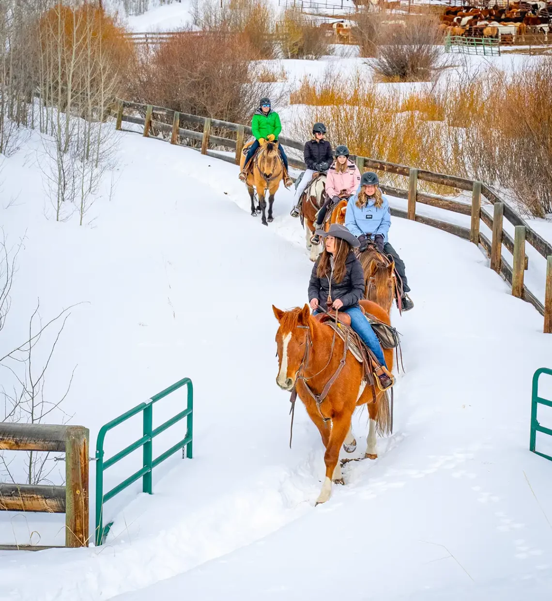a family out on a winter trail ride at C Lazy U Ranch