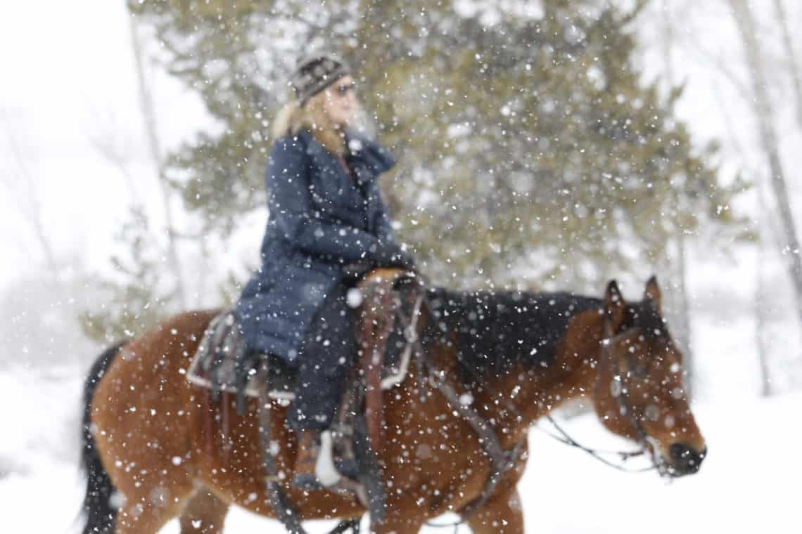 horseback riding in snow