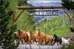 Download Ranch Brochure